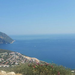 Murat