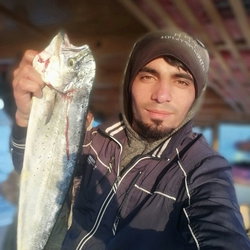 Umut