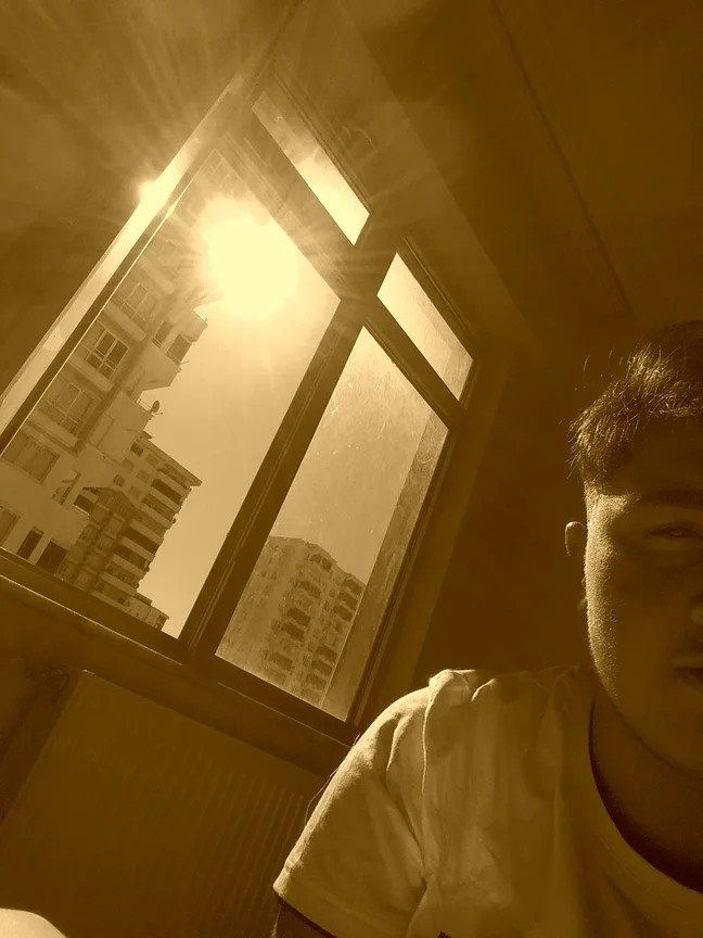 Elvis