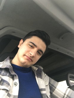 Ali