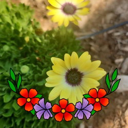 Shilome
