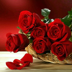 Songul