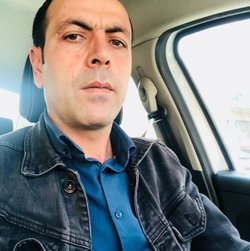 Doğan