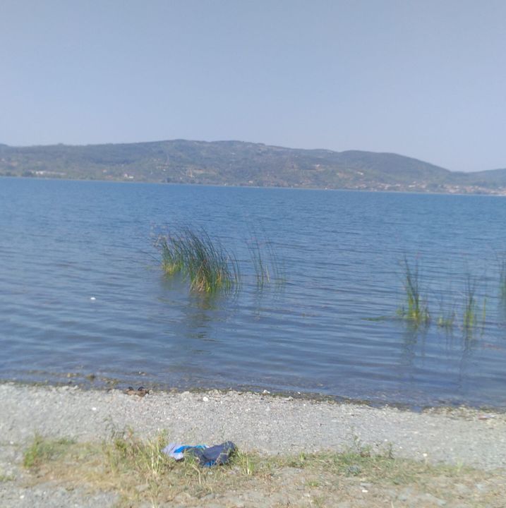 Kadir