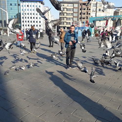 Mehmet