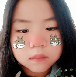ปาล์มมี่