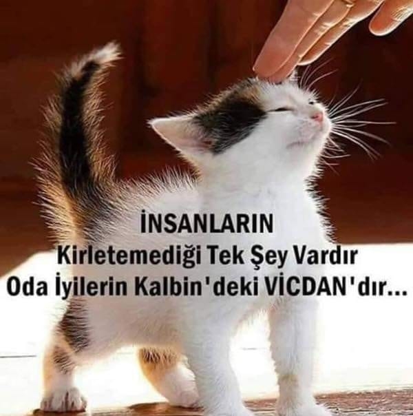 Gümüş