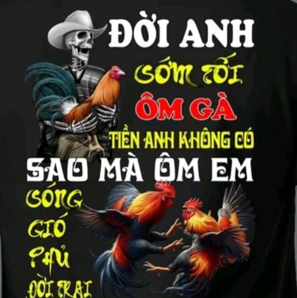 Tài