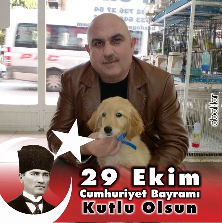 Tekin