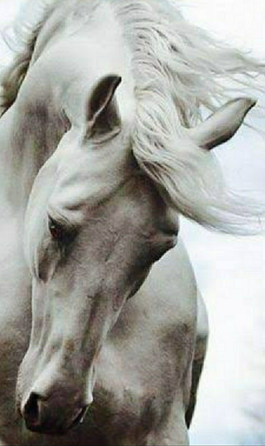Cem
