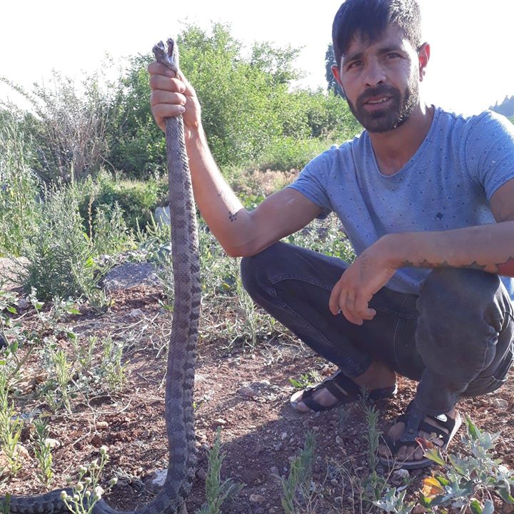 Hakkı
