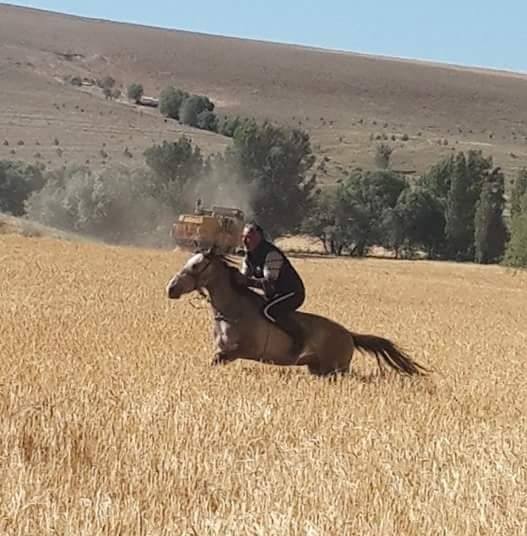 Abdullah