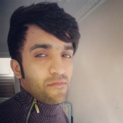 Ammar