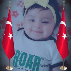 Şahin