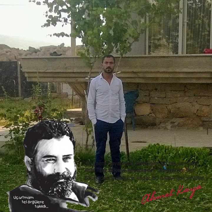 Maviş