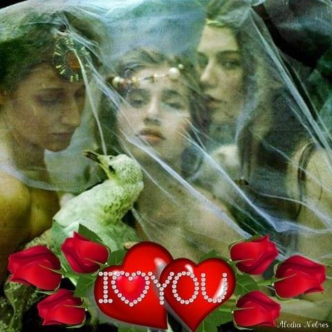 İkram