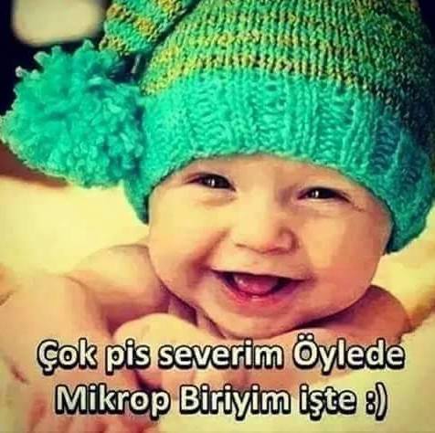 Halit