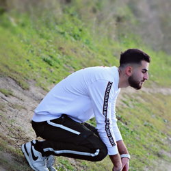 Şahin