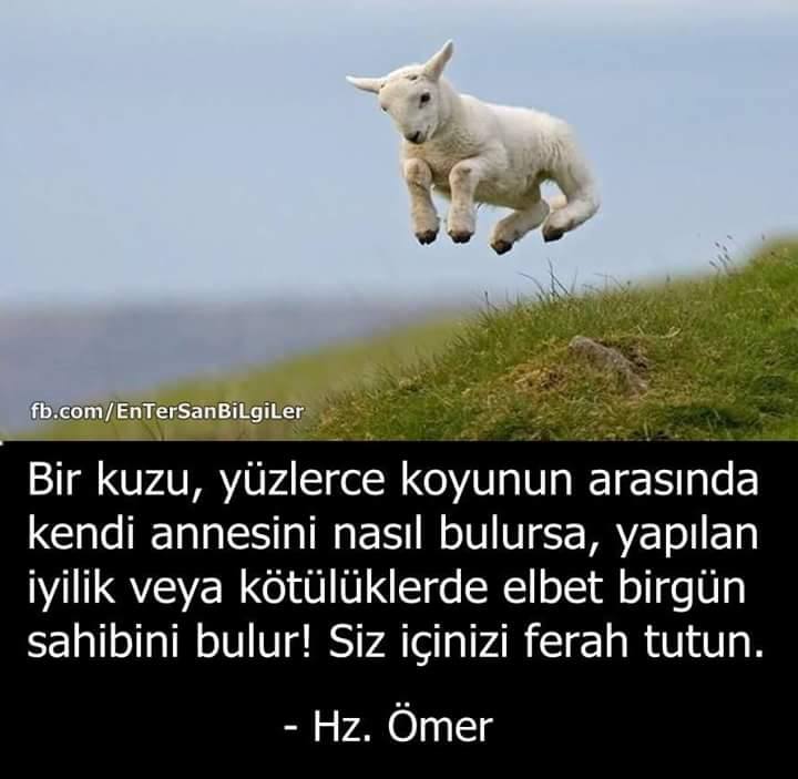 Hasan