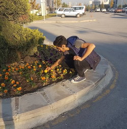 Murat