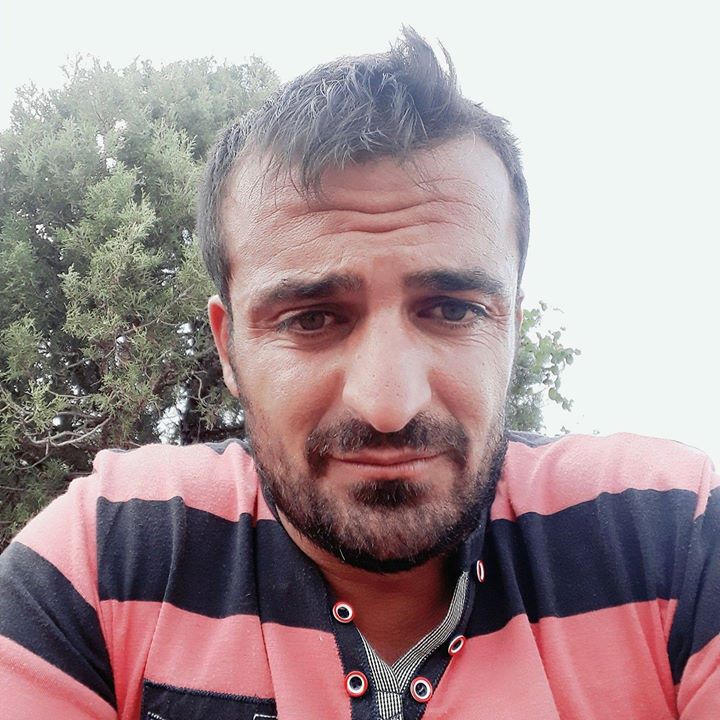 Halis