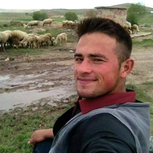 Şevket
