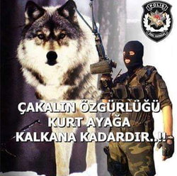 Engin