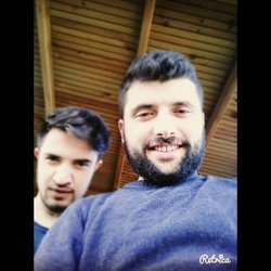 Mert