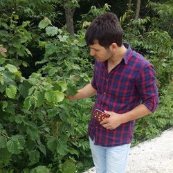 Emrah