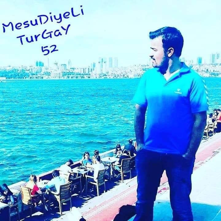 Mesudiyeli