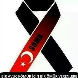 Pinar