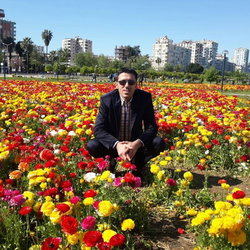 Halid