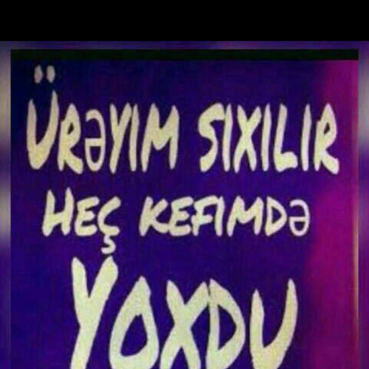 Hasim
