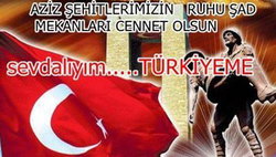 Sibel