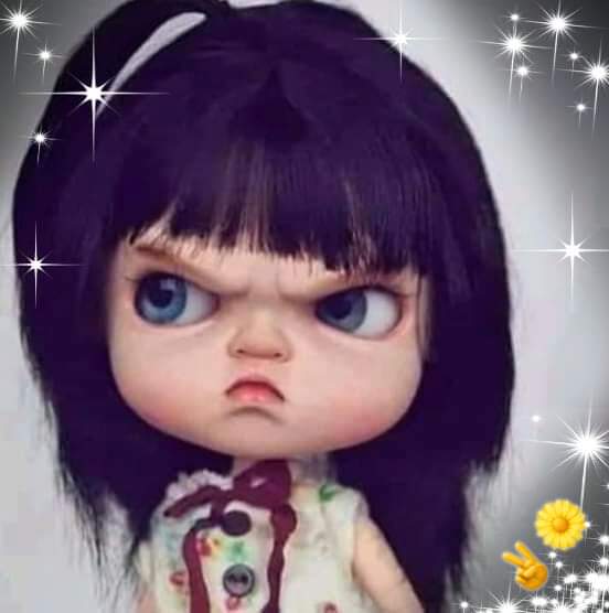 Seda
