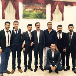Vedat