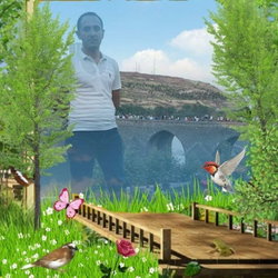 İlhan