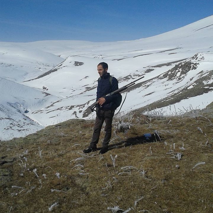 Mert