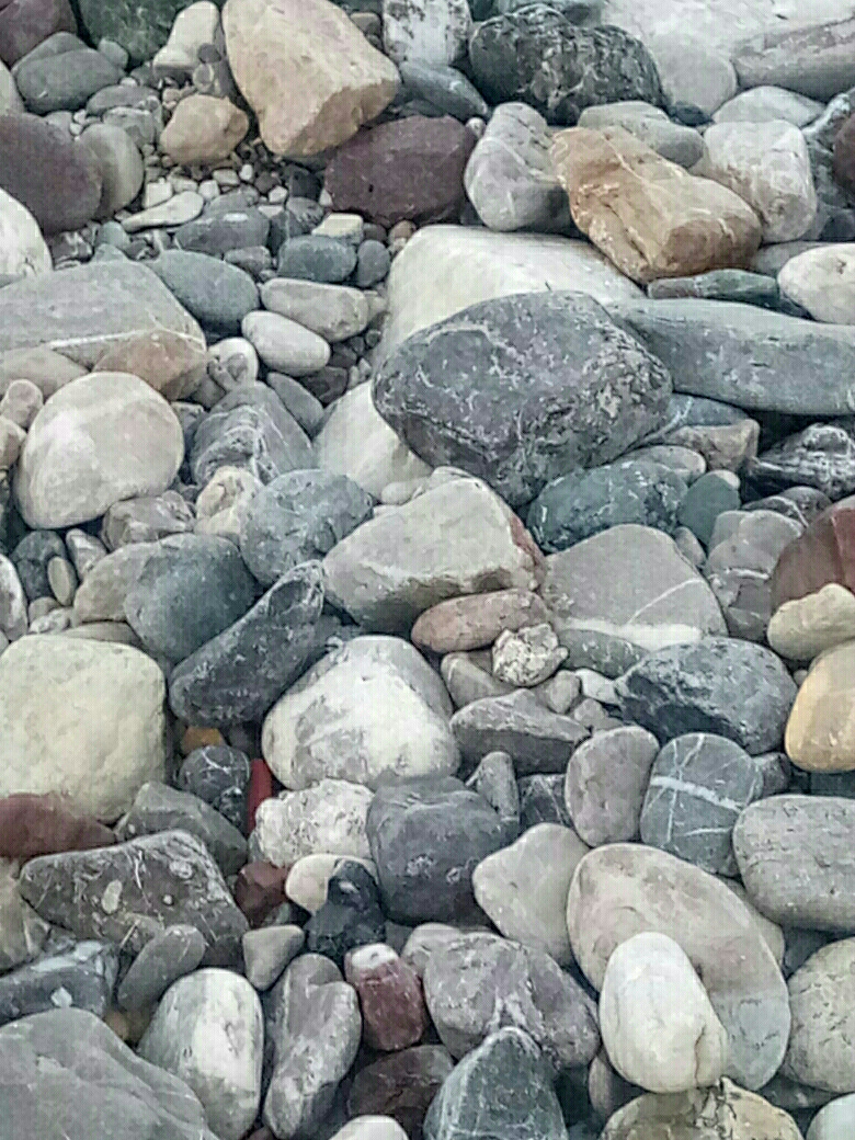 Ceylan