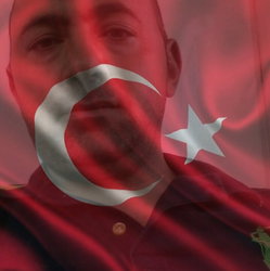 Ali