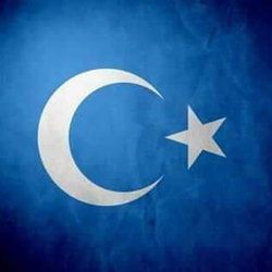 Enis