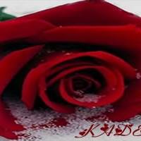 Kader
