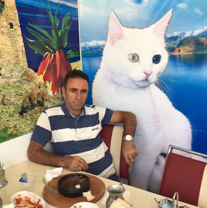 Kadri