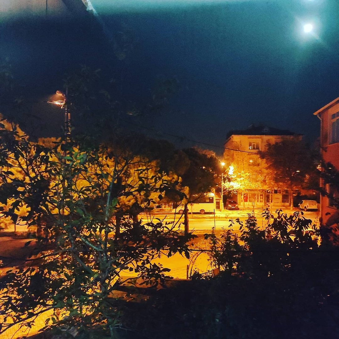 Mutlu
