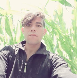 Muhammedzulfikar