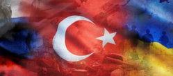 Roza