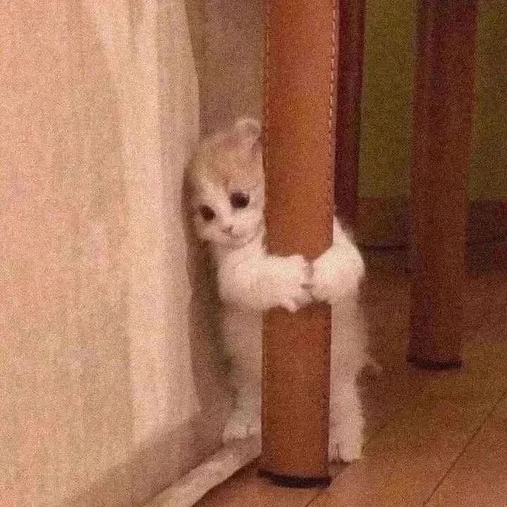 Troco