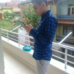 Cemil