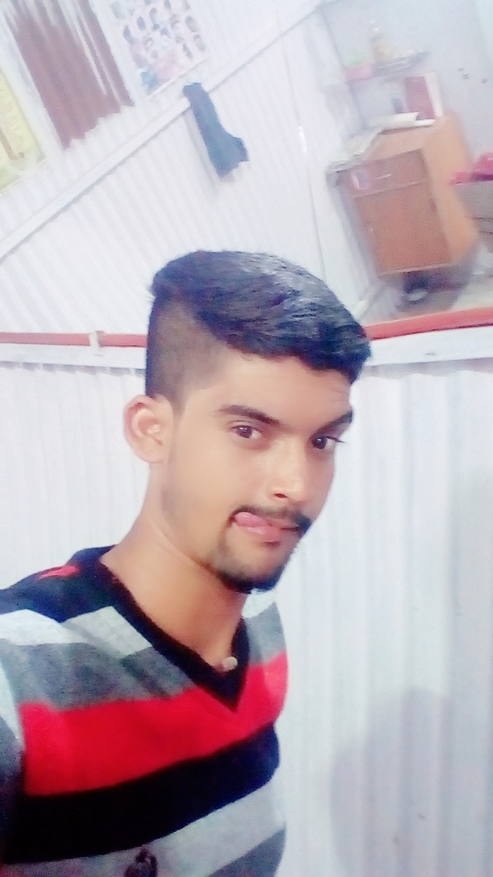 Anil