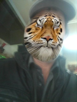 Murat